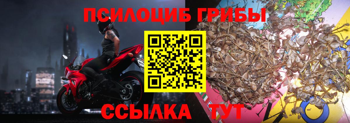 Галлюциногенные грибы мицелий Красный Сулин